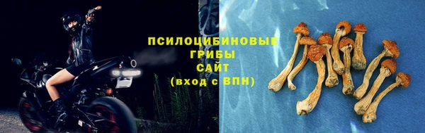 тгк Богородск