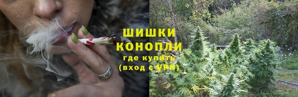тгк Богородск