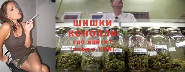 тгк Богородск