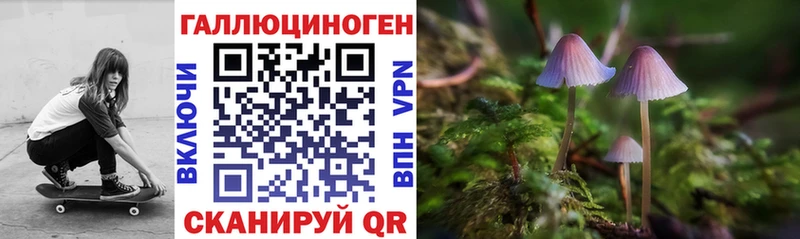 Псилоцибиновые грибы MAGIC MUSHROOMS  Киселёвск 